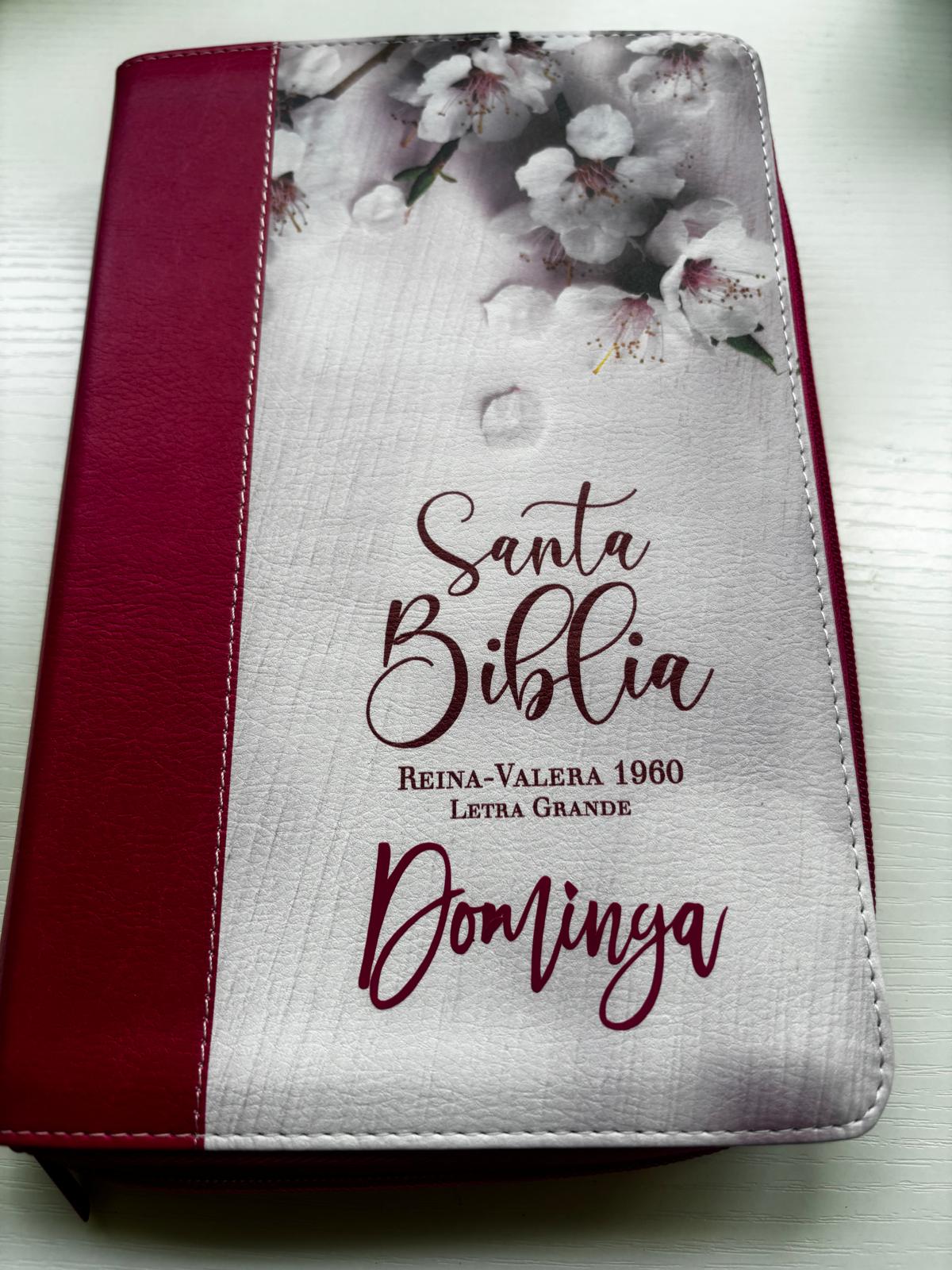 Biblia MUJER VIRTUOSA