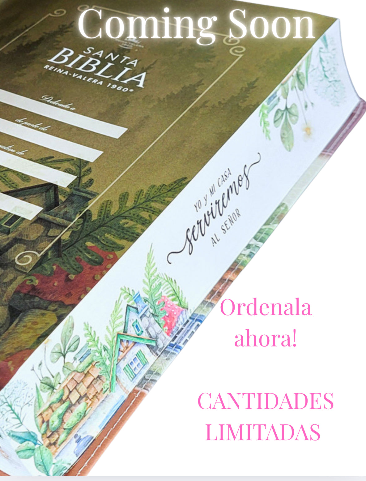 Biblia Letra Súper Gigante Manual 19 puntos RV1960 imit piel floral marrón y canto con mensaje - Yo y mi casa serviremos a Jehova! 🙏⚓️ con nombre y dije de espada o corona