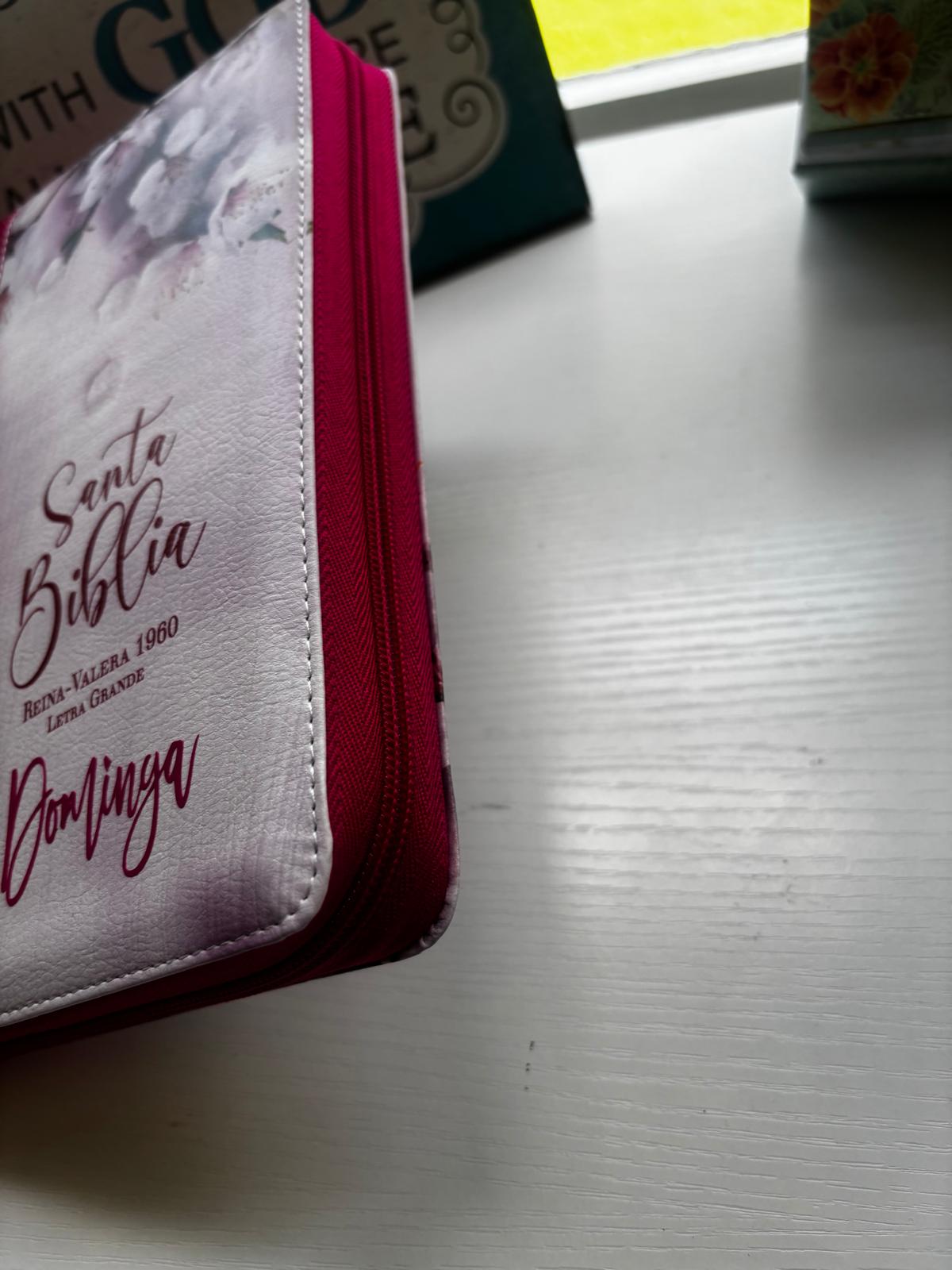Biblia MUJER VIRTUOSA