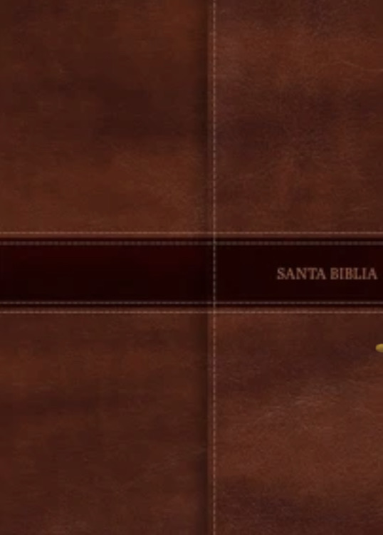 Rvr 1960 Ultrathin Bib, Brown Lt Mag Flap