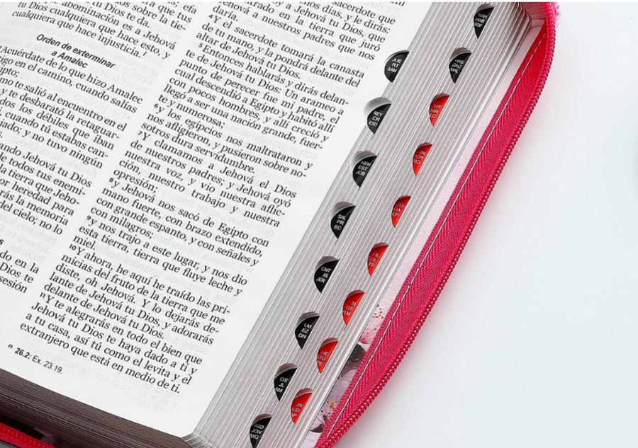 Biblia  MUJER VIRTUOSA