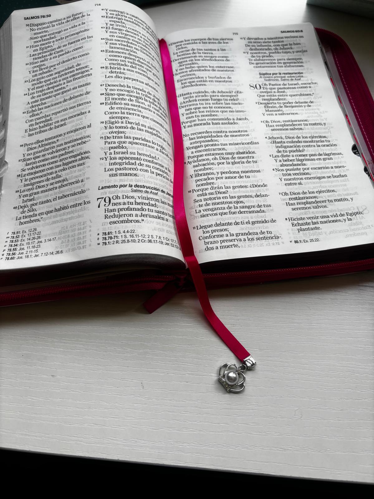 Biblia  MUJER VIRTUOSA