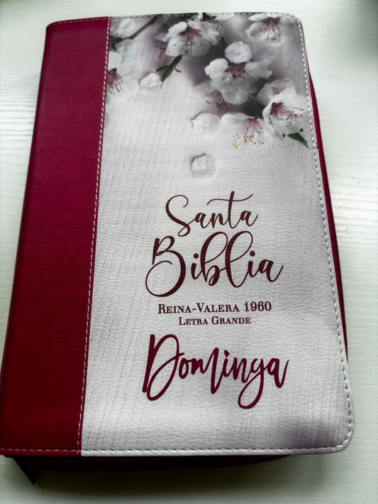 Biblia  MUJER VIRTUOSA