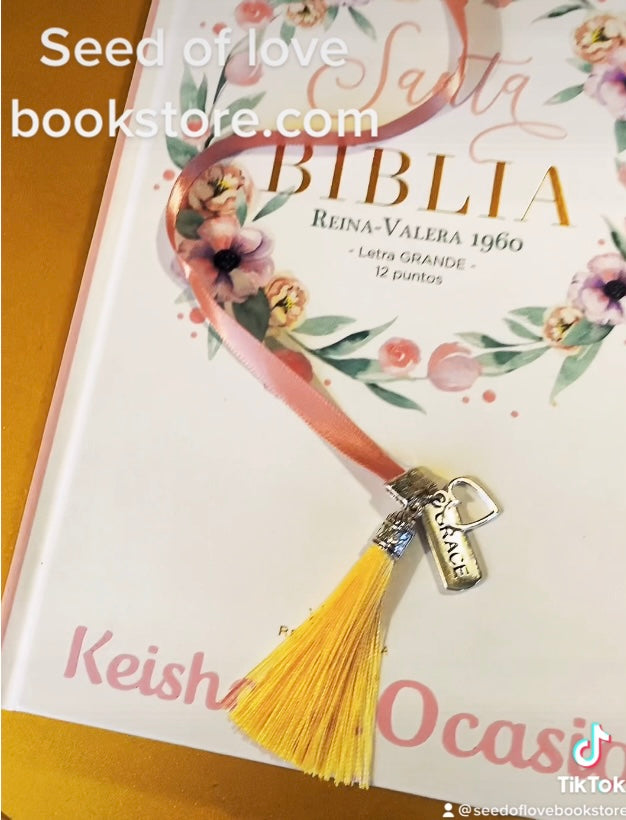 SANTA BiBLIA REINA VALERA